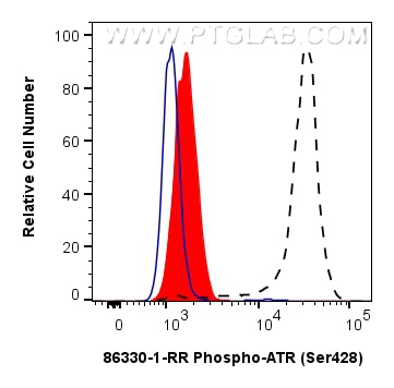 FC experiment of HEK-293 using 86330-1-RR Flow cytometry (FC) experiment of HEK-293 cells using Phospho-ATR (Ser428) Recombinant monoclonal antibo (86330-1-RR)