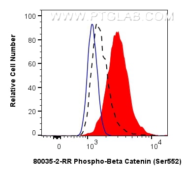 Flow cytometry (FC) experiment of HeLa cells using Phospho-Beta Catenin (Ser552) Recombinant monoclon (80035-2-RR)