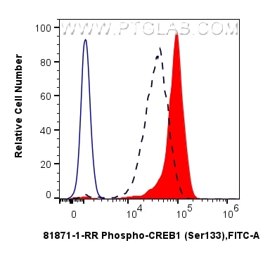 FC experiment of HEK-293 using 81871-1-RR Flow cytometry (FC) experiment of HEK-293 cells using Phospho-CREB1 (Ser133) Recombinant monoclonal anti (81871-1-RR)