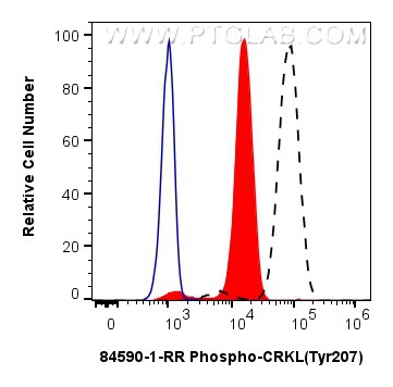 Flow cytometry (FC) experiment of K-562 cells using Phospho-CRKL (Tyr207) Recombinant antibody (84590-1-RR)