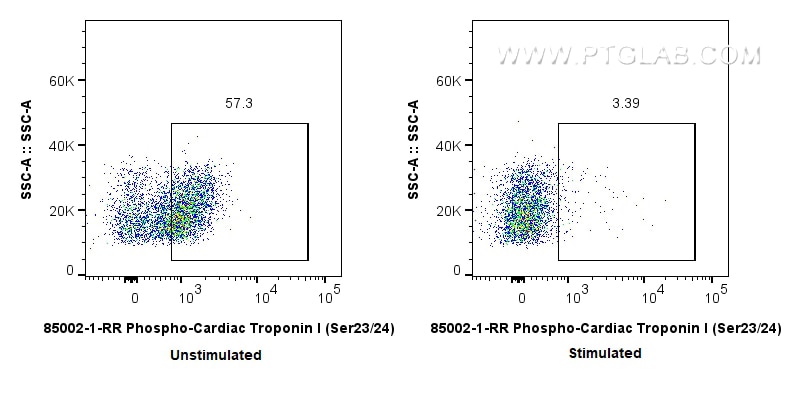 FC experiment of mouse heart using 85002-1-RR Flow cytometry (FC) experiment of mouse heart tissue using Phospho-Cardiac Troponin I (Ser23/24) Recombinant (85002-1-RR)