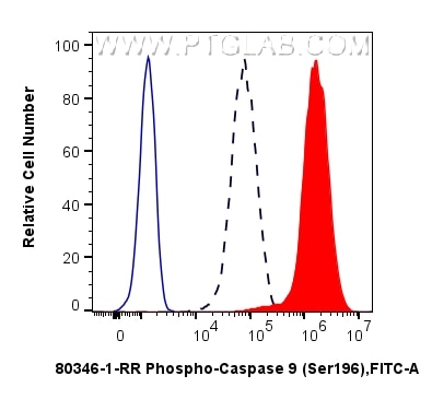 Flow cytometry (FC) experiment of NIH/3T3 cells using Phospho-Caspase 9 (Ser196) Recombinant monoclonal  (80346-1-RR)