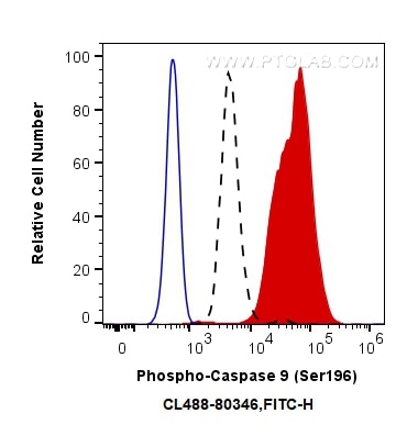 Flow cytometry (FC) experiment of HEK-293 cells using CoraLite® Plus 488-conjugated Phospho-Caspase 9 (S (CL488-80346)