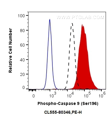 Flow cytometry (FC) experiment of Hela cells using CoraLite®555-conjugated Phospho-Caspase 9 (Ser196) (CL555-80346)