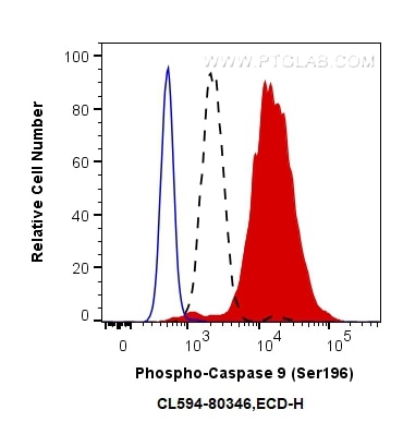 Flow cytometry (FC) experiment of Hela cells using CoraLite®594-conjugated Phospho-Caspase 9 (Ser196) (CL594-80346)