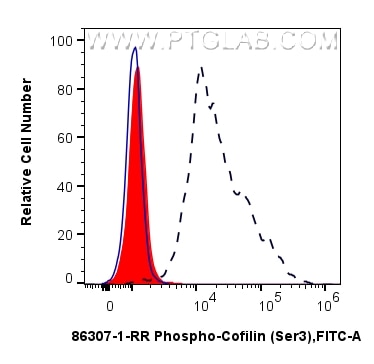 FC experiment of NIH/3T3 using 86307-1-RR Flow cytometry (FC) experiment of NIH/3T3 cells using Phospho-Cofilin (Ser3) Recombinant monoclonal anti (86307-1-RR)