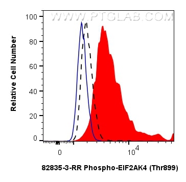 Flow cytometry (FC) experiment of NIH/3T3 cells using Phospho-EIF2AK4 (Thr899) Recombinant monoclonal an (82835-3-RR)
