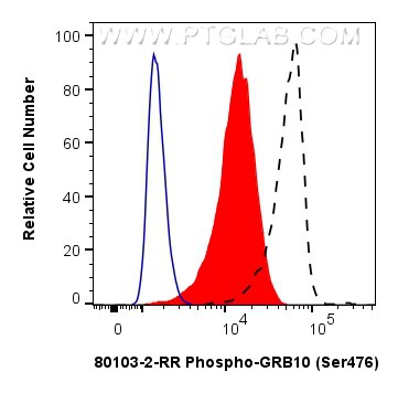 1X10^6 HEK-293 cells untreated (dashed lines) or treated with λ phosphatase which intracellularly stained with 0.25 ug Phospho-GRB10 (Ser476) Recombinant monoclonal antibody (80103-2-RR, Clone:241531D11) and CoraLite®488-Conjugated Goat Anti-Rabbit IgG(H+L) (SA00013-2)(red), or 0.25 ug Rabbit IgG Isotype Control RecAb (98136-1-RR, Clone: 240953C9) (blue). Cells were fixed with 90% MeOH . Flow cytometry (FC) experiment of HEK-293 cells using Phospho-GRB10 (Ser476) Recombinant monoclonal anti (80103-2-RR)