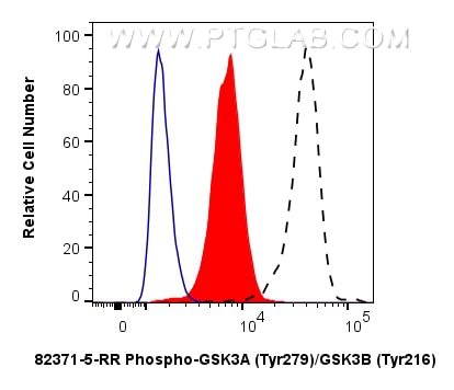 Flow cytometry (FC) experiment of HEK-293 cells using Phospho-GSK3A (Tyr279)/GSK3B (Tyr216) Recombinant  (82371-5-RR)