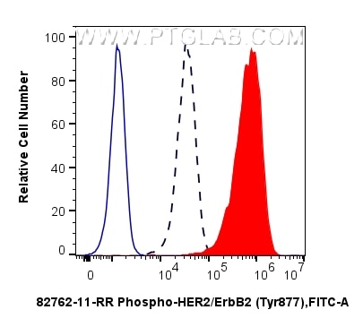 Flow cytometry (FC) experiment of A431 cells using Phospho-HER2/ErbB2 (Tyr877) Recombinant monoclonal (82762-11-RR)