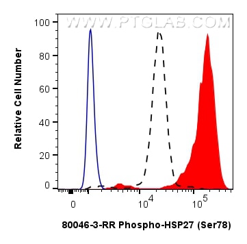 FC experiment of HeLa using 80046-3-RR Flow cytometry (FC) experiment of HeLa cells using Phospho-HSP27 (Ser78) Recombinant monoclonal antib (80046-3-RR)