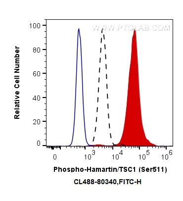 FC experiment of HeLa using CL488-80340