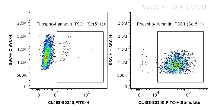 FC experiment of HeLa using CL488-80340