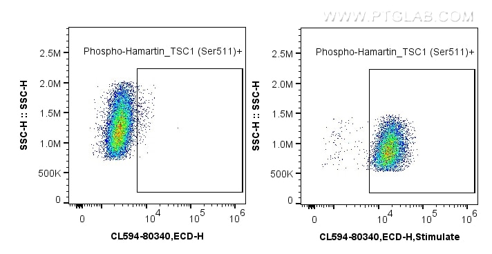 FC experiment of HeLa using CL594-80340