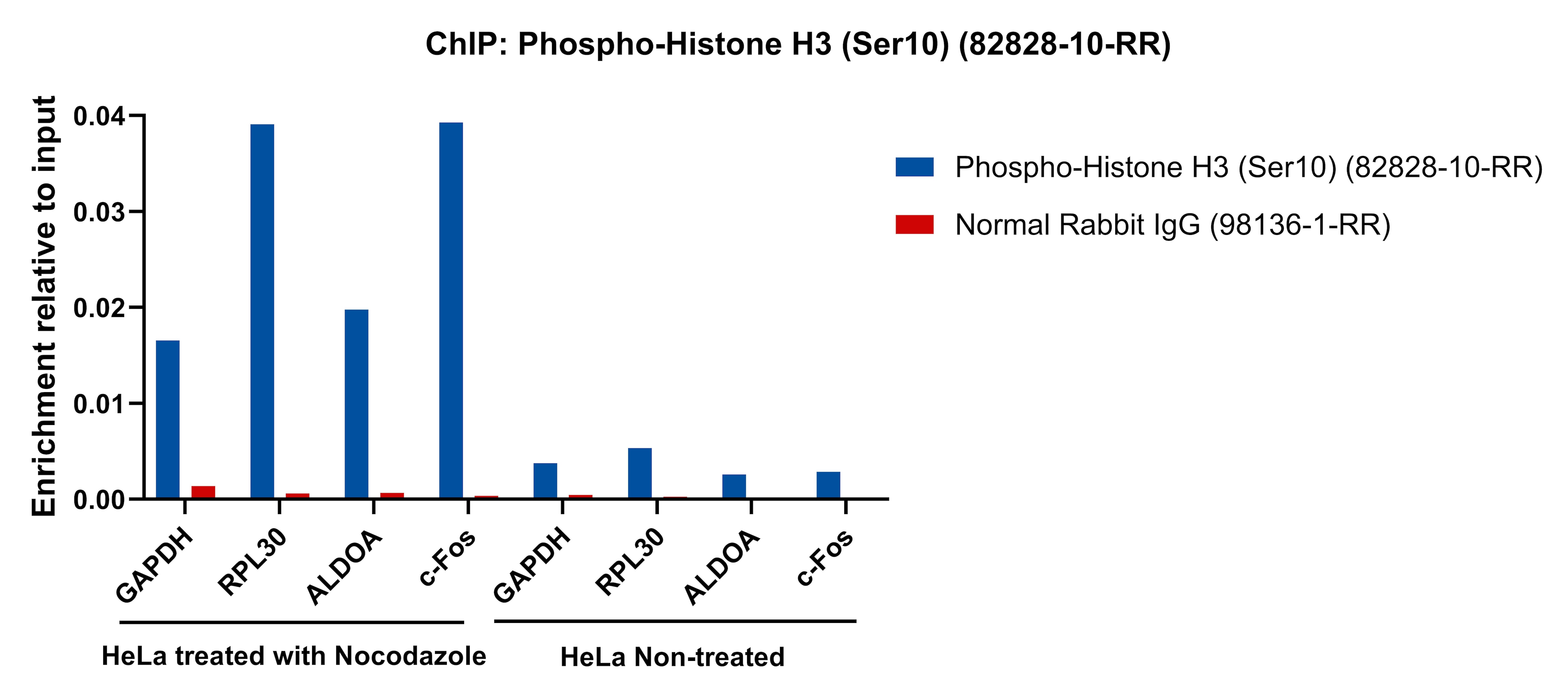 ChIP experiment of HeLa cells using Phospho-Histone H3 (Ser10) Recombinant antibody (82828-10-RR)