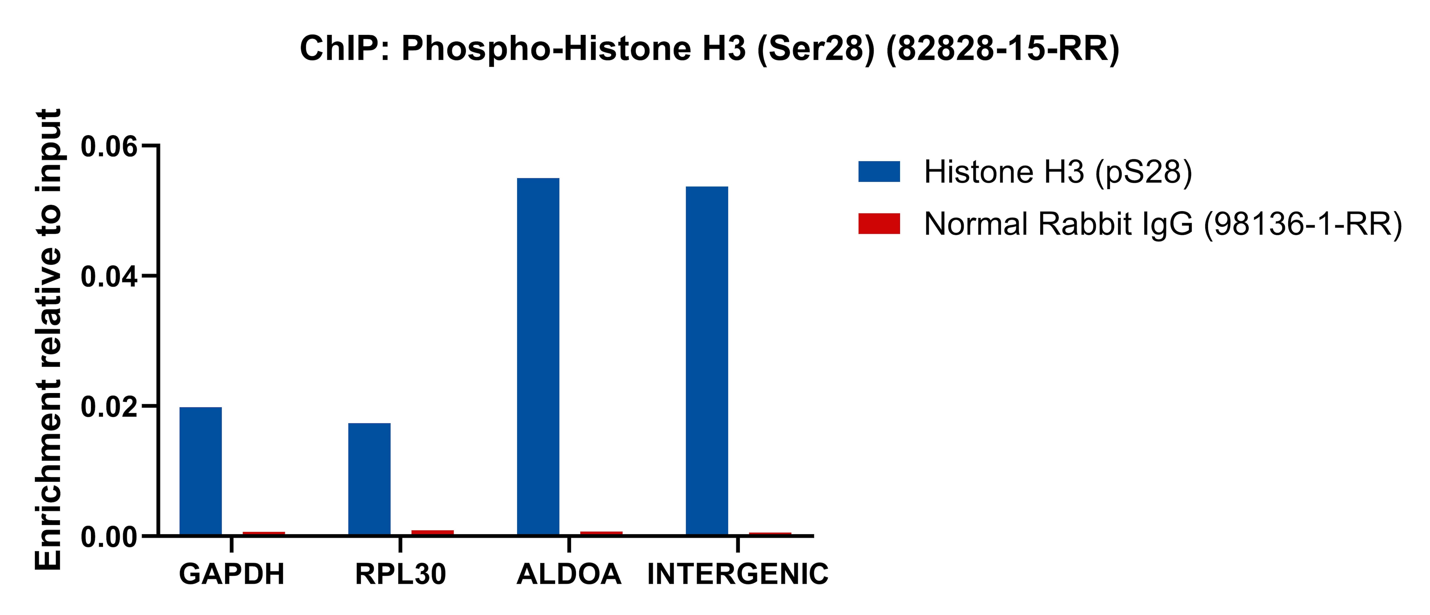 ChIP experiment of HeLa cells using Phospho-Histone H3 (Ser28) Recombinant monoclonal  (82828-15-RR)
