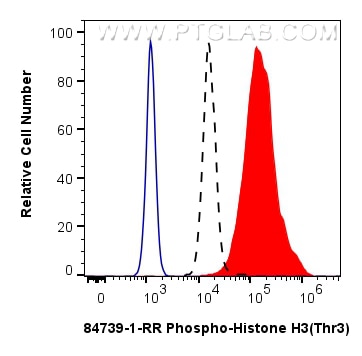 Flow cytometry (FC) experiment of HeLa cells using Phospho-Histone H3 (Thr3) Recombinant antibody (84739-1-RR)