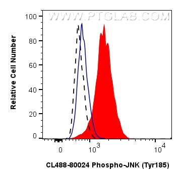 Flow cytometry (FC) experiment of HEK-293 cells using CoraLite® Plus 488-conjugated Phospho-JNK (Tyr185) (CL488-80024)