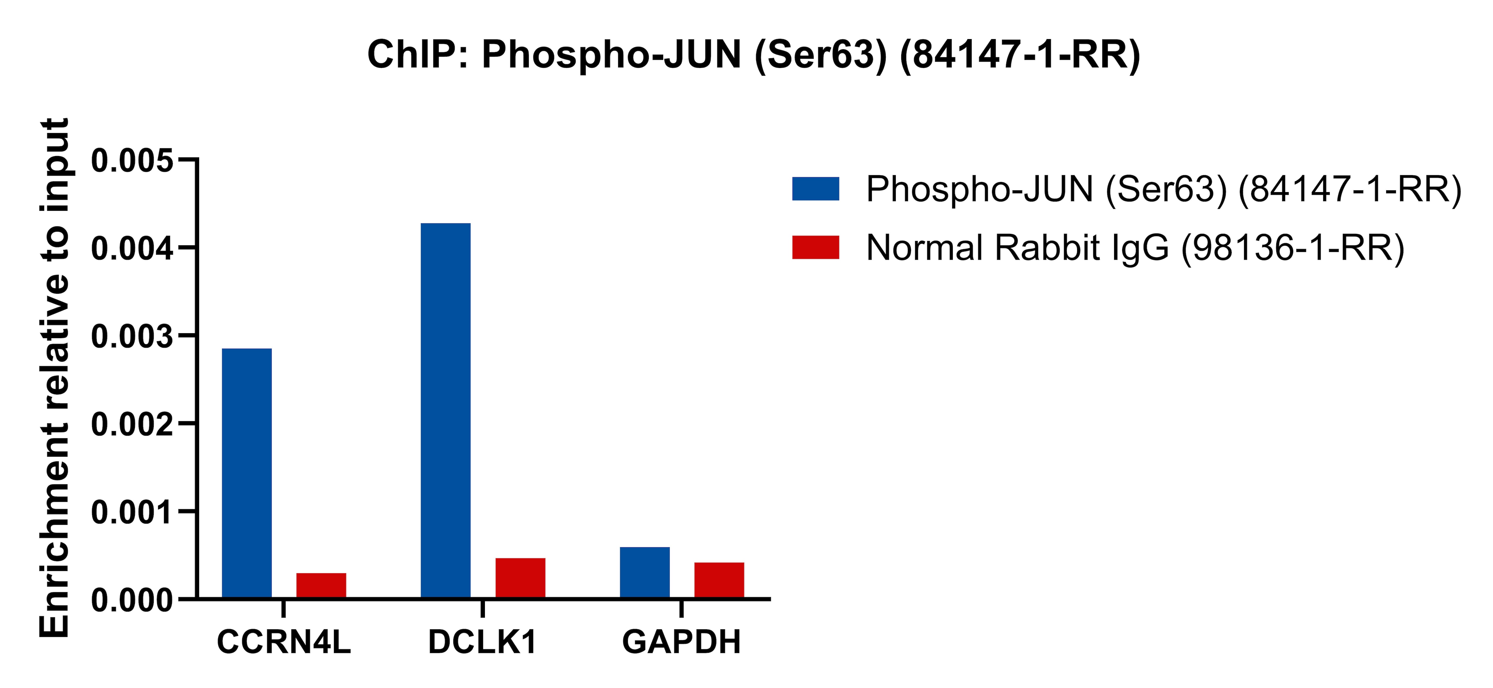 ChIP experiment of PC-12 cells using Phospho-JUN (Ser63) Recombinant antibody (84147-1-RR)