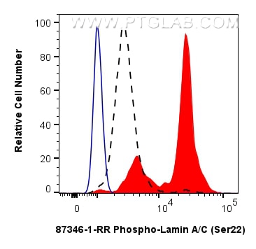 FC experiment of Jurkat using 87346-1-RR Flow cytometry (FC) experiment of Jurkat cells using Phospho-Lamin A/C (Ser22) Recombinant monoclonal a (87346-1-RR)
