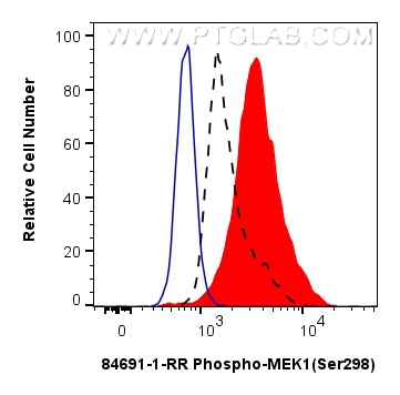Flow cytometry (FC) experiment of HEK-293 cells using Phospho-MEK1 (Ser298) Recombinant antibody (84691-1-RR)