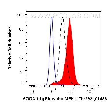 FC experiment of HeLa using 67873-1-Ig