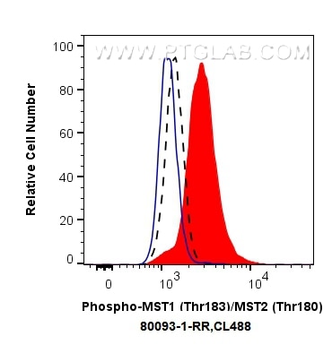 Flow cytometry (FC) experiment of HeLa cells using Phospho-MST1 (Thr183)/MST2 (Thr180) Recombinant an (80093-1-RR)
