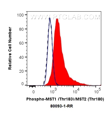 Flow cytometry (FC) experiment of HeLa cells using Phospho-MST1 (Thr183)/MST2 (Thr180) Recombinant an (80093-1-RR)