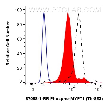 Flow cytometry (FC) experiment of NIH/3T3 cells using Phospho-MYPT1 (Thr853) Recombinant monoclonal anti (87088-1-RR)