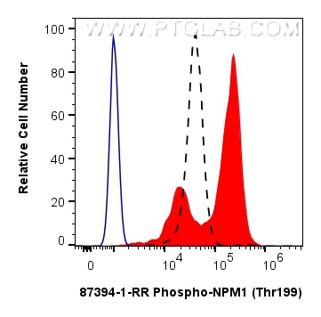 Flow cytometry (FC) experiment of Jurkat cells using Phospho-NPM1 (Thr199) Recombinant monoclonal antib (87394-1-RR)