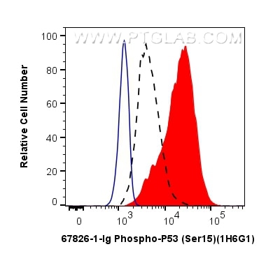 Flow cytometry (FC) experiment of HT-29 cells using Phospho-P53 (Ser15) Monoclonal antibody (67826-1-Ig)