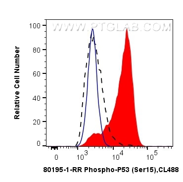 Flow cytometry (FC) experiment of A431 cells using Phospho-P53 (Ser15) Recombinant antibody (80195-1-RR)