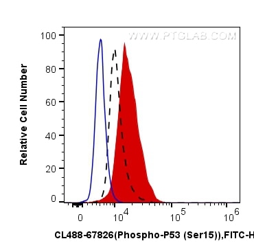 Flow cytometry (FC) experiment of HT-29 cells using CoraLite® Plus 488-conjugated Phospho-P53 (Ser15)  (CL488-67826)