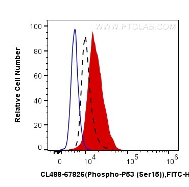 FC experiment of HT-29 using CL488-67826