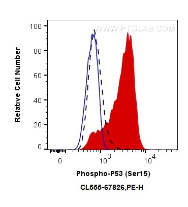 Flow cytometry (FC) experiment of HT-29 cells using CoraLite®555-conjugated Phospho-P53 (Ser15) Monocl (CL555-67826)