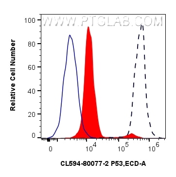 1X10^6 HeLa cells untreated (dashed lines) or treated with λ phosphatase which intracellularly stained with 0.25 ug Coralite®594 Phospho-P53 (Ser392) Recombinant Antibody (CL594-80077-2, Clone:241575F6)(red), or 0.25 ug CoraLite®594 Rabbit IgG Isotype Control RecAb (CL594-98136, Clone: 240953C9) (blue). Cells were fixed and permeabilized with Flow Cytometry Phosphorylated Protein Fixation/Permeabilization Kit (PF00026). Flow cytometry (FC) experiment of HeLa cells using CoraLite®594-conjugated Phospho-P53 (Ser392) Recom (CL594-80077-2)