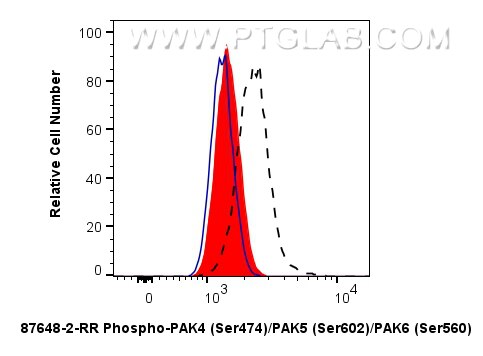 FC experiment of HeLa using 87648-2-RR (same clone as 87648-2-PBS) Flow cytometry (FC) experiment of HeLa cells using Phospho-PAK4 (Ser474)/PAK5 (Ser602)/PAK6 (Ser560) (87648-2-RR)
