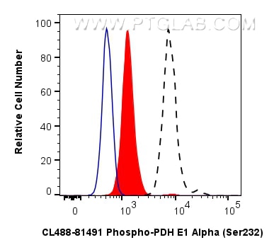 Flow cytometry (FC) experiment of HEK-293 cells using CoraLite® Plus 488-conjugated Phospho-PDH E1 Alpha (CL488-81491)