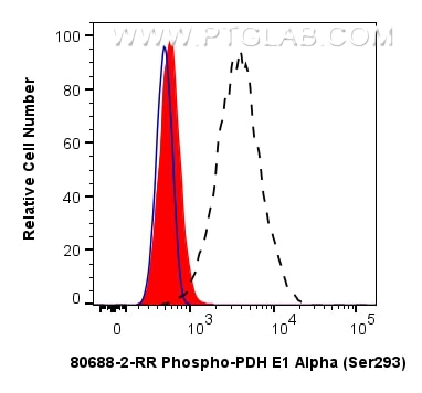 Flow cytometry (FC) experiment of HeLa cells using Phospho-PDH E1 Alpha (Ser293) Recombinant monoclon (80688-2-RR)