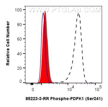 Flow cytometry (FC) experiment of NIH/3T3 cells using Phospho-PDPK1 (Ser241) Recombinant monoclonal anti (85223-3-RR)