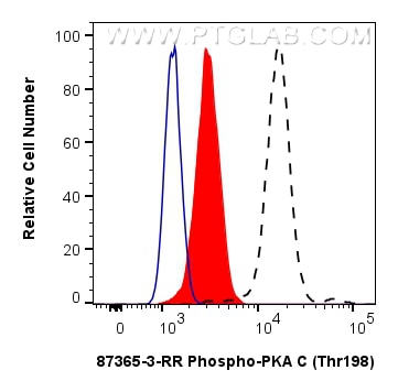 Flow cytometry (FC) experiment of HeLa cells using Phospho-PKA C (Thr198) Recombinant monoclonal anti (87365-3-RR)