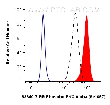 Flow cytometry (FC) experiment of PC-3 cells using Phospho-PKC Alpha (Ser657) Recombinant monoclonal  (83840-7-RR)