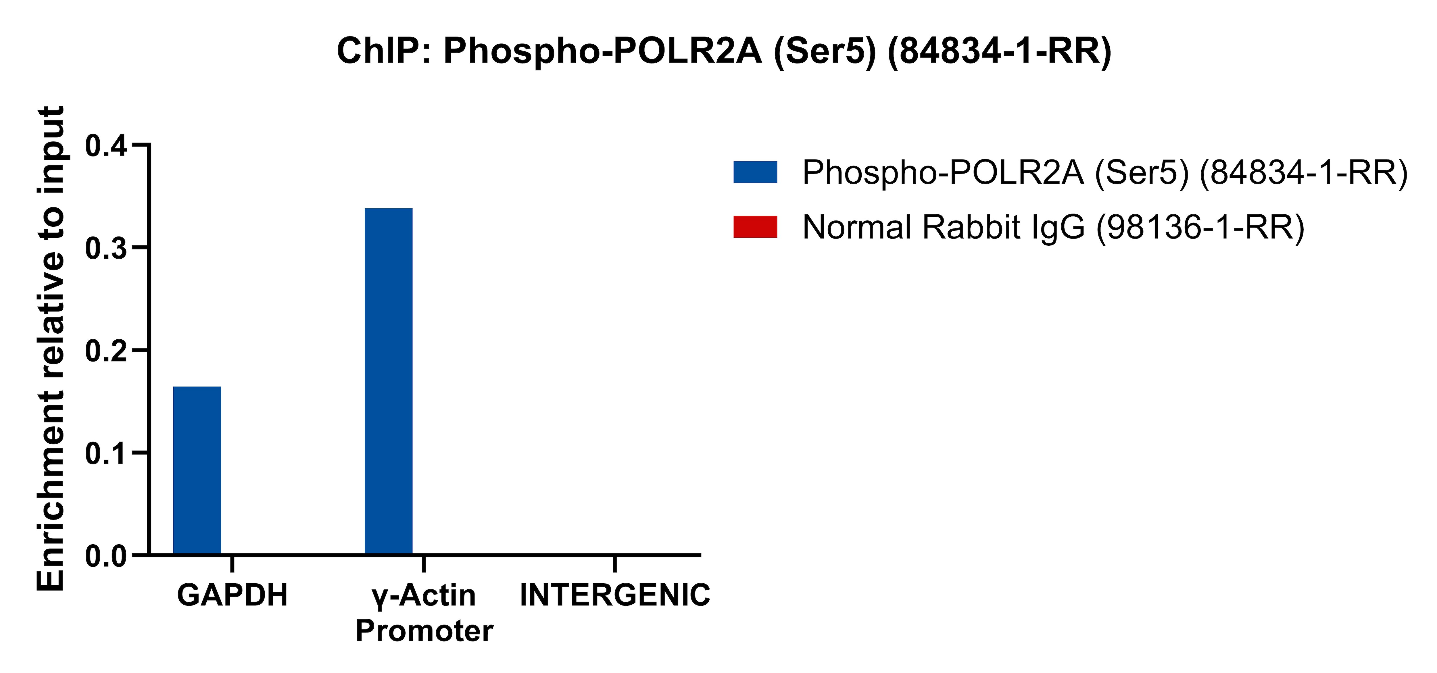 Chromatin was prepared from HeLa cells. Cells were fixed with formaldehyde for 10 minutes. The ChIP was performed with 20 µg of cross-linked chromatin, 5 µg of Phospho-POLR2A (Ser5) (84834-1-RR) or 5 ug of Normal Rabbit IgG (98136-1-RR), and 20 µl of Protein A Magarose Beads. The immunoprecipitated DNA was quantified by real-time PCR. ChIP experiment of HeLa cells using Phospho-POLR2A (Ser5) Recombinant antibody (84834-1-RR)