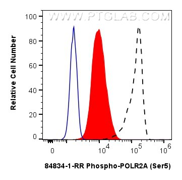 Flow cytometry (FC) experiment of HeLa cells using Phospho-POLR2A (Ser5) Recombinant antibody (84834-1-RR)