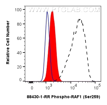 Flow cytometry (FC) experiment of HeLa cells using Phospho-RAF1 (Ser259) Recombinant monoclonal antib (88430-1-RR)