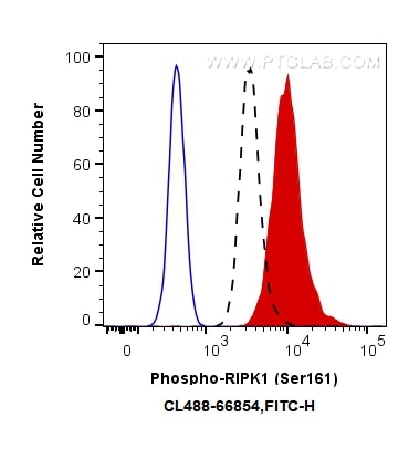 Flow cytometry (FC) experiment of HEK-293T cells using CoraLite® Plus 488-conjugated Phospho-RIPK1 (Ser16 (CL488-66854)