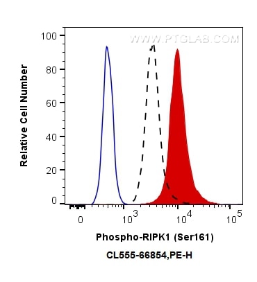 Flow cytometry (FC) experiment of HEK-293T cells using CoraLite®555-conjugated Phospho-RIPK1 (Ser161)  Mo (CL555-66854)