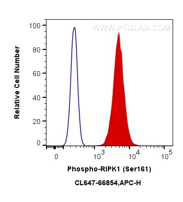 Flow cytometry (FC) experiment of HEK-293T cells using CoraLite® Plus 647-conjugated Phospho-RIPK1 (Ser16 (CL647-66854)