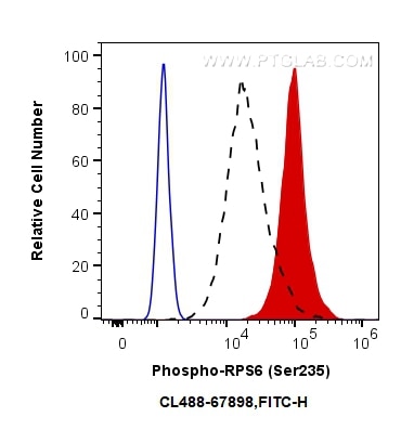 Flow cytometry (FC) experiment of HeLa cells using CoraLite® Plus 488-conjugated Phospho-S6 Ribosomal (CL488-67898)