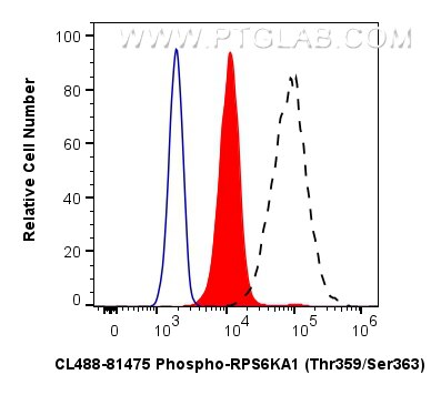 Phospho-RPS6KA1 (Thr359/Ser363)